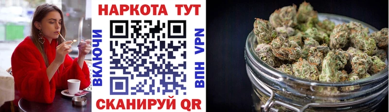 А ПВП Орлов
